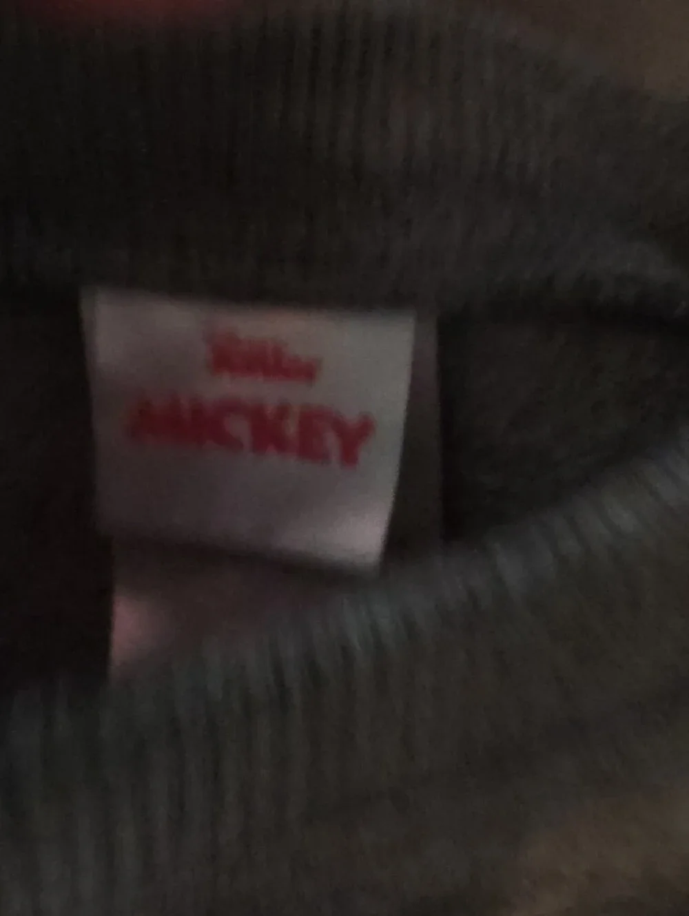Mickey Mouse Grey Sweatshirt with Green Beanie